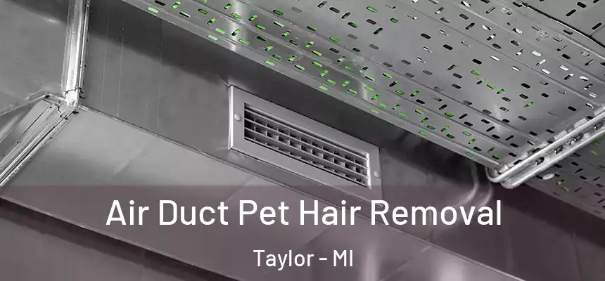 Air Duct Pet Hair Removal Taylor - MI
