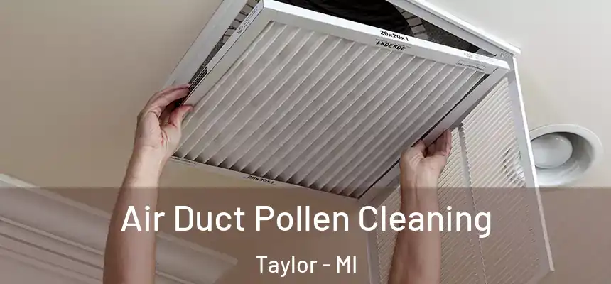  Air Duct Pollen Cleaning Taylor - MI