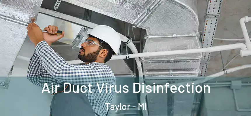  Air Duct Virus Disinfection Taylor - MI