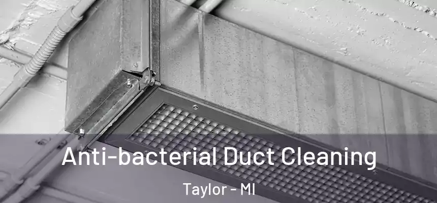  Anti-bacterial Duct Cleaning Taylor - MI