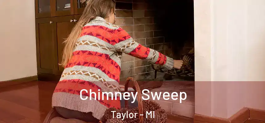  Chimney Sweep Taylor - MI