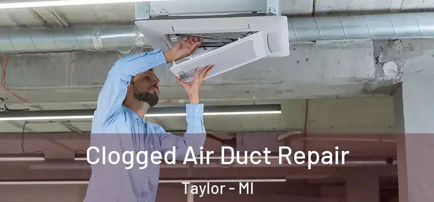  Clogged Air Duct Repair Taylor - MI