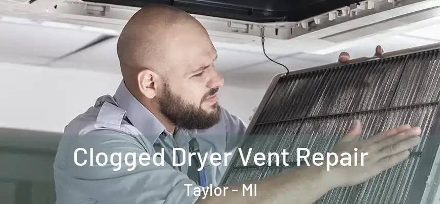  Clogged Dryer Vent Repair Taylor - MI