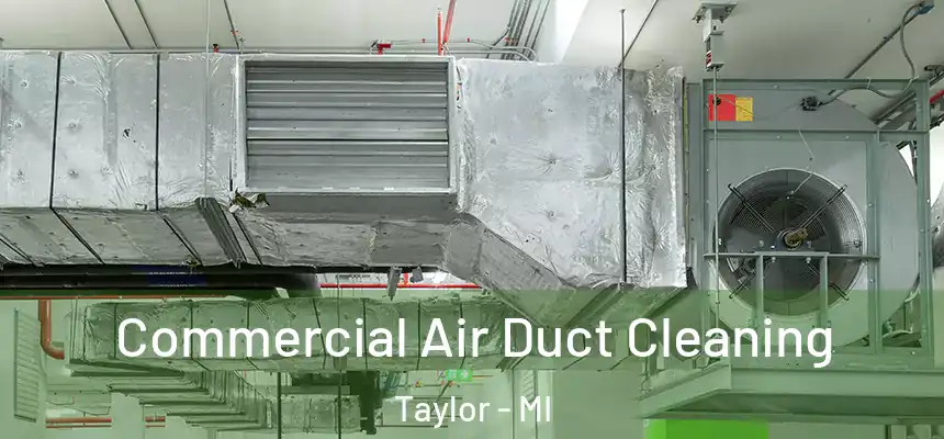 Commercial Air Duct Cleaning Taylor - MI