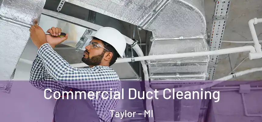 Commercial Duct Cleaning Taylor - MI