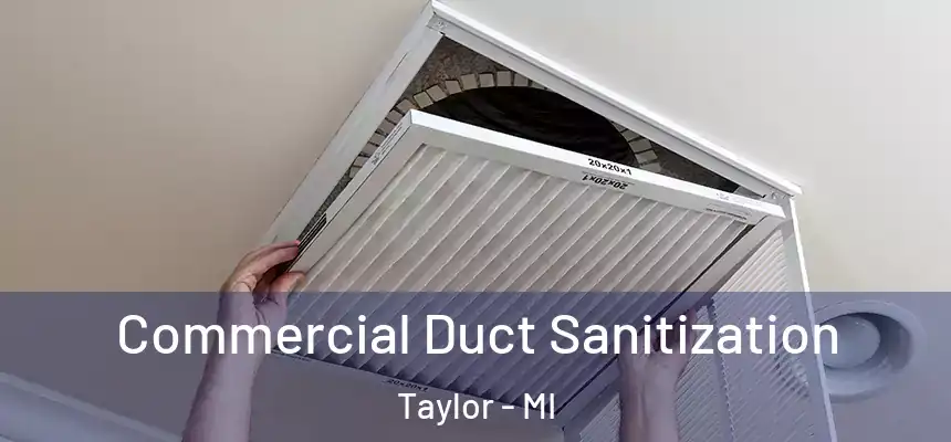  Commercial Duct Sanitization Taylor - MI