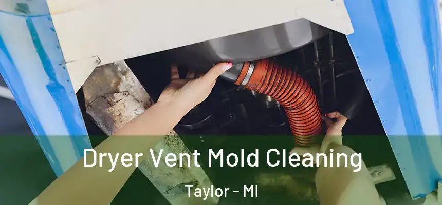  Dryer Vent Mold Cleaning Taylor - MI