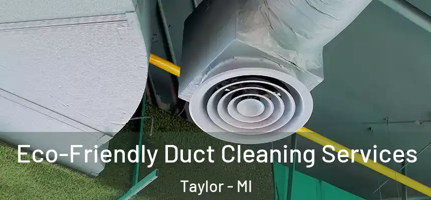  Eco-Friendly Duct Cleaning Services Taylor - MI