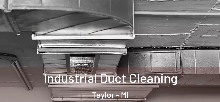 Industrial Duct Cleaning Taylor - MI