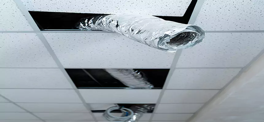 Affordable HVAC Sanitizing After Pest Removal in Taylor