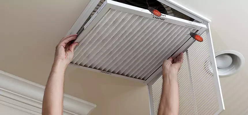 Our Insect Removal from Air Ducts Services in Taylor, MI