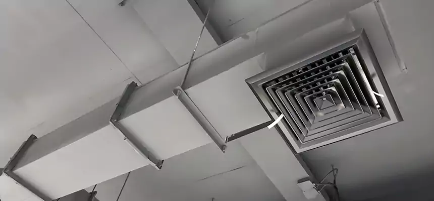 Our Rodent Droppings In Vents Services in Taylor, MI