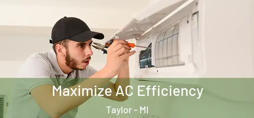  Maximize AC Efficiency Taylor - MI