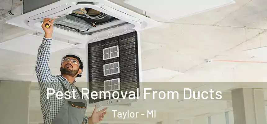  Pest Removal From Ducts Taylor - MI