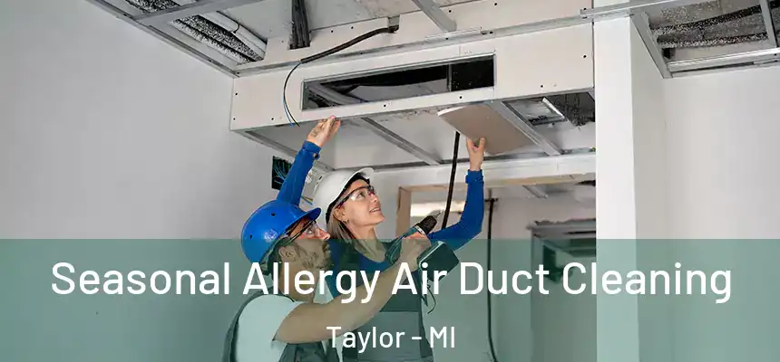 Seasonal Allergy Air Duct Cleaning Taylor - MI