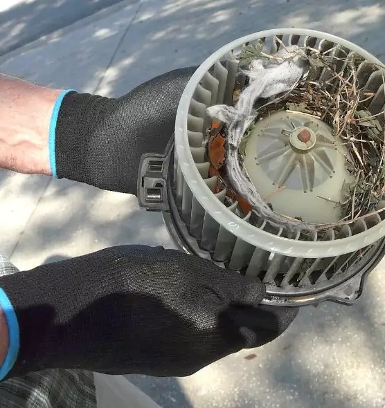 About Air Duct Mice Removal in Taylor, MI