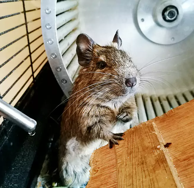 Why Homeowners & Businesses Trust Us Taylor, MI