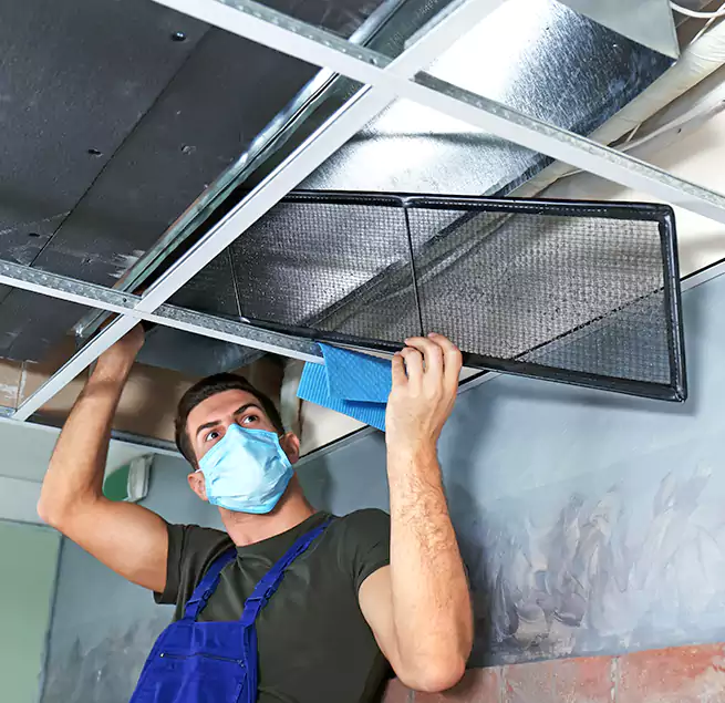 Why Homeowners Businesses Trust Us in Taylor, MI