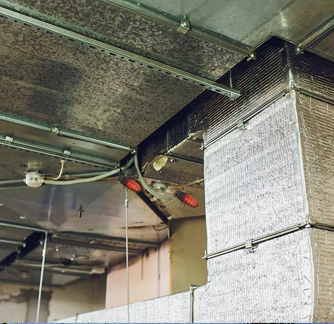 Why Homeowners & Businesses Trust Us Taylor, MI?