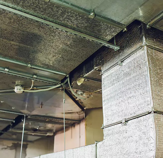 Why Homeowners & Businesses Trust Us in Taylor, MI?