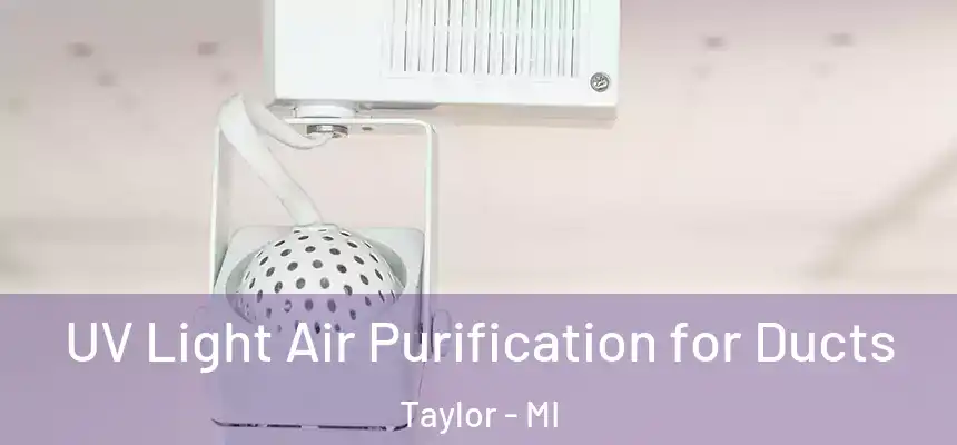  UV Light Air Purification for Ducts Taylor - MI